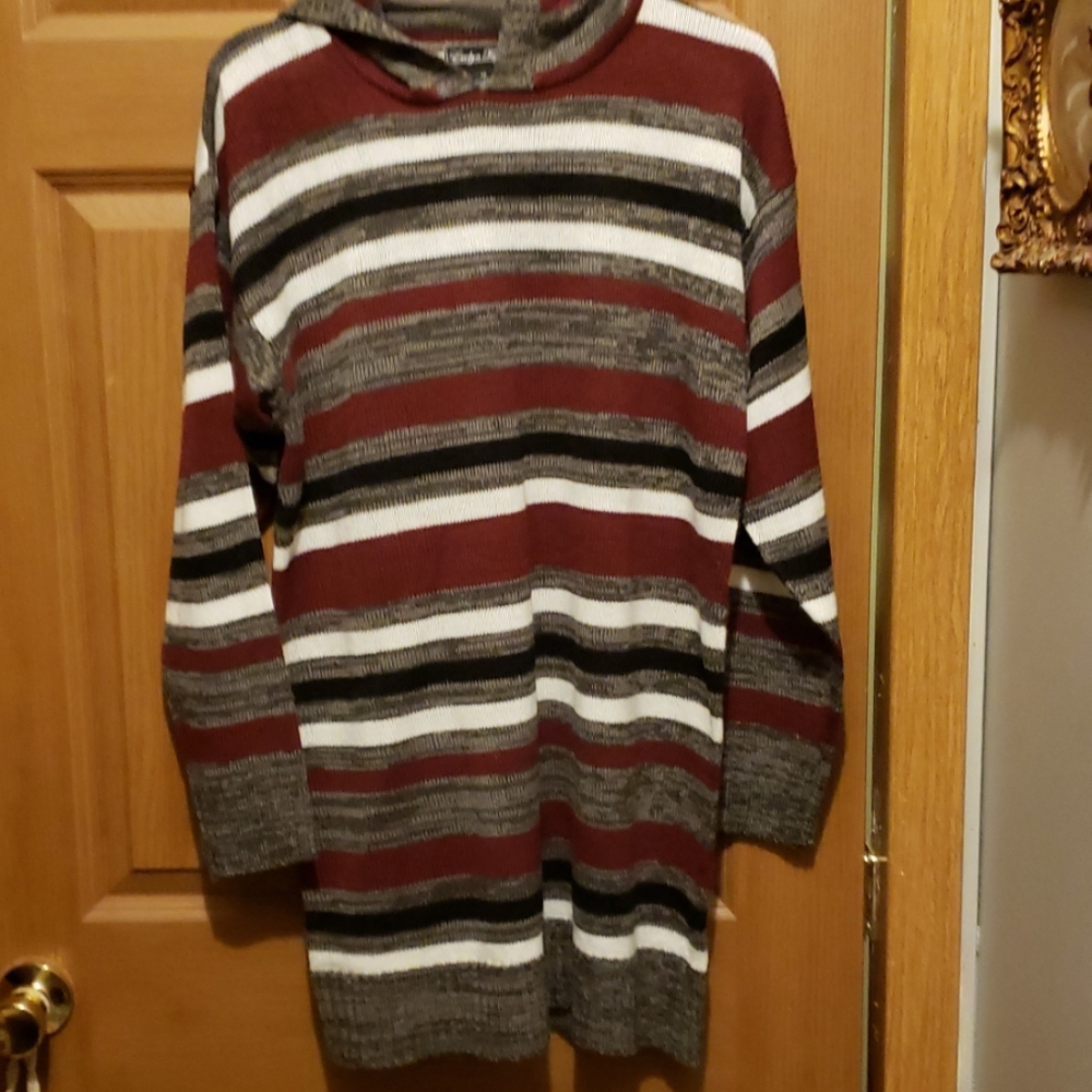 Striped Sweater Size 1x